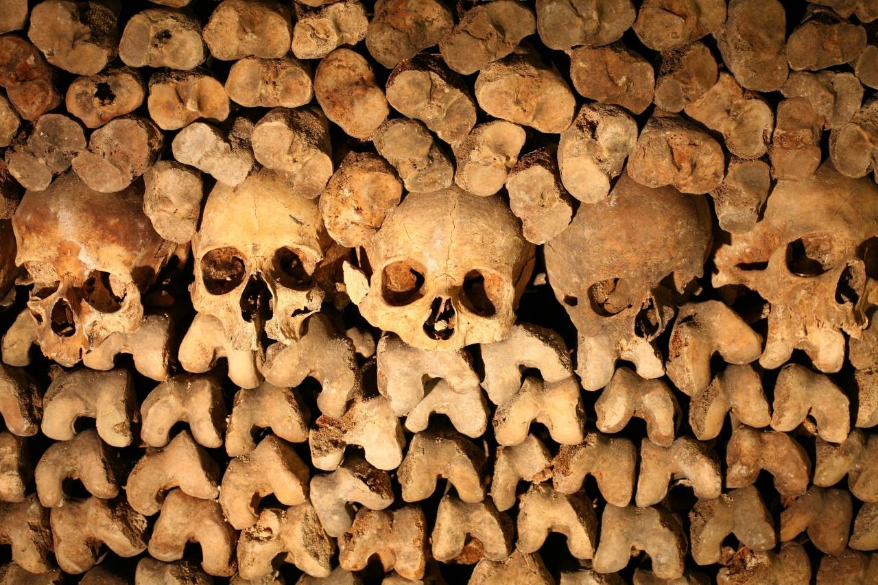 Les Catacombes de Paris Quel est ton film d'horreur préféré ?