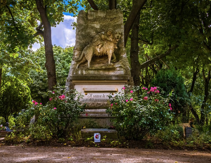 Le Cimetière des chiens R.I.P les toutous
